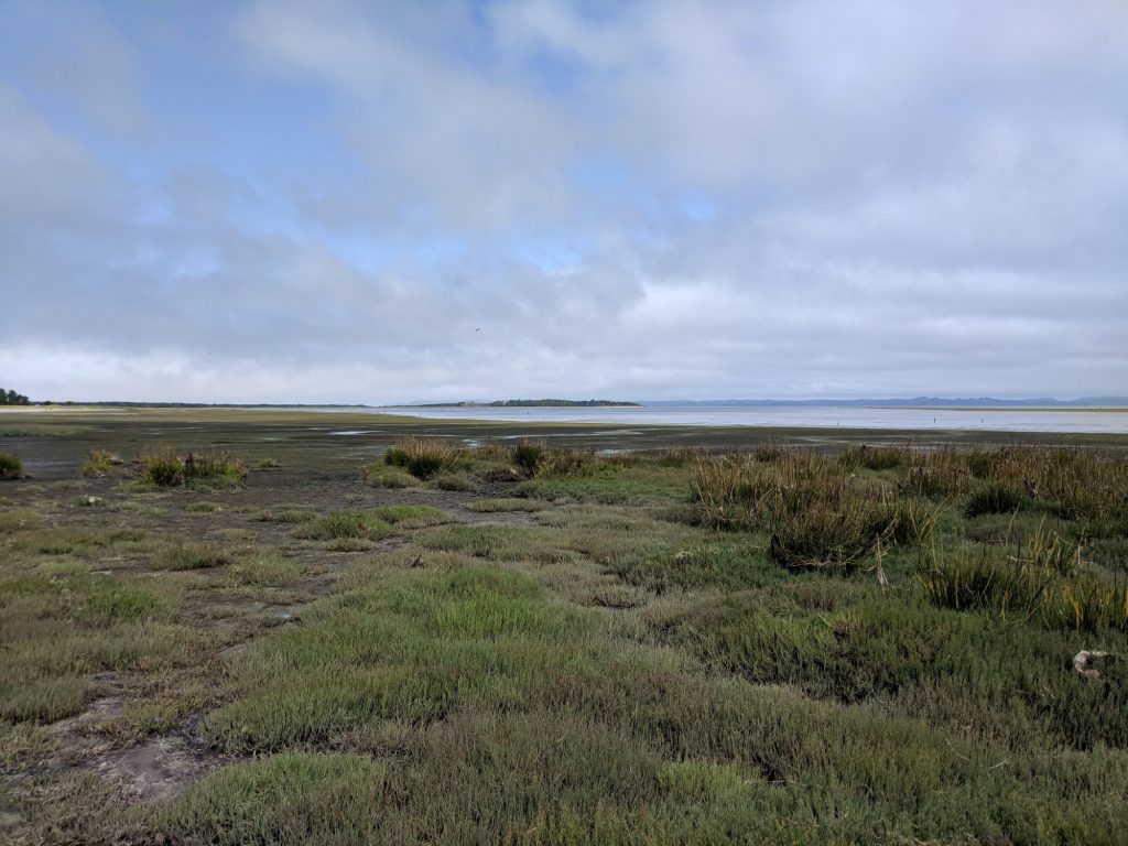 Leadbetter Point State Park