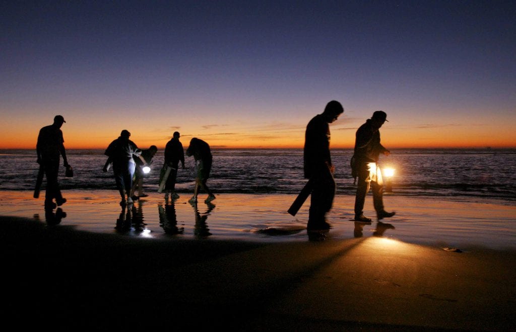 Razor clamming on the Long Beach Peninsula