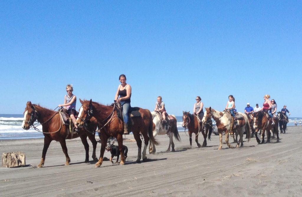 Horseback Riding on the Beach