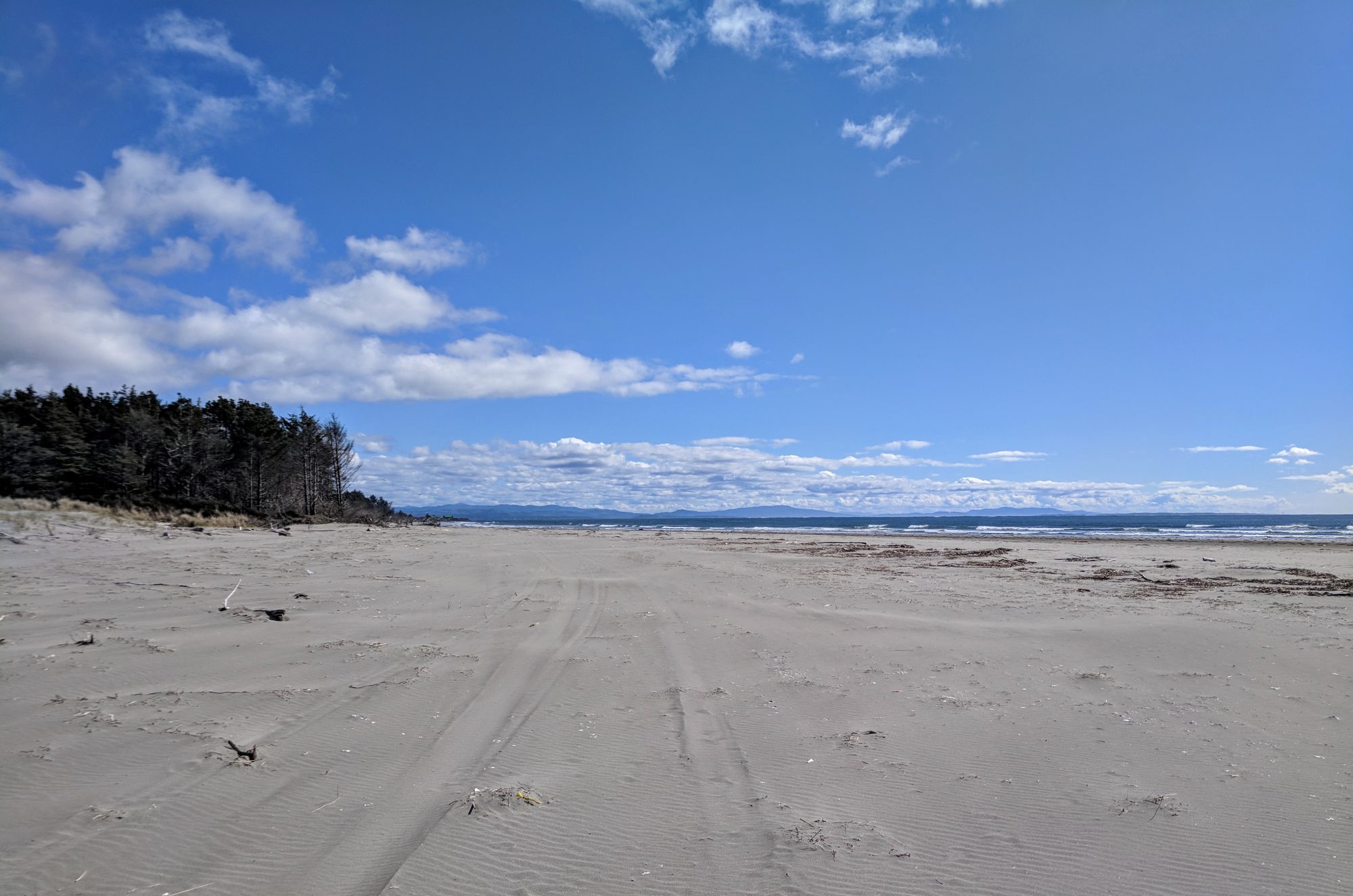 Beach at North Cove