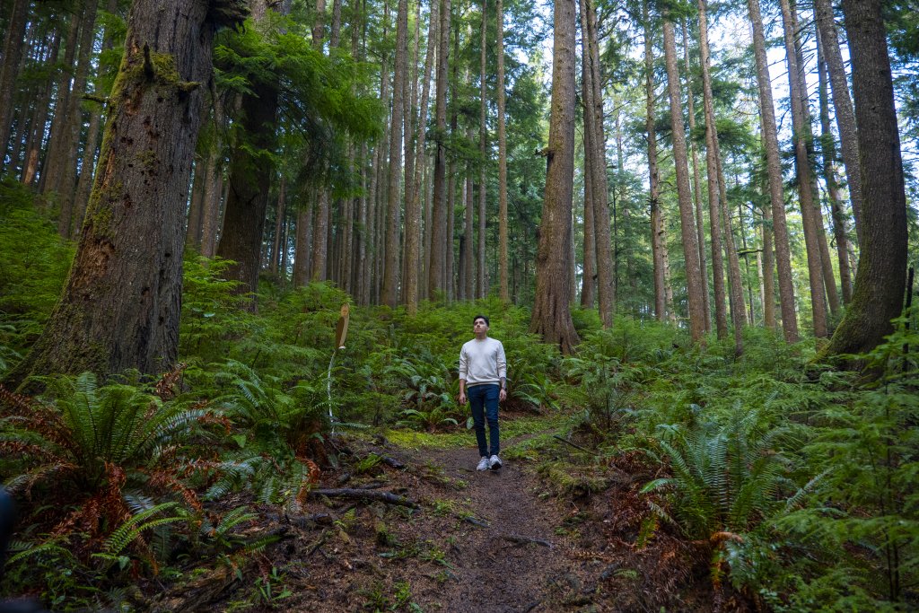 Washington's Evergreen Coast