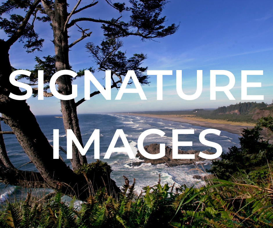 signature images