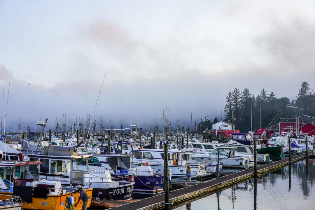 Port of Ilwaco by Stephanie Forrer