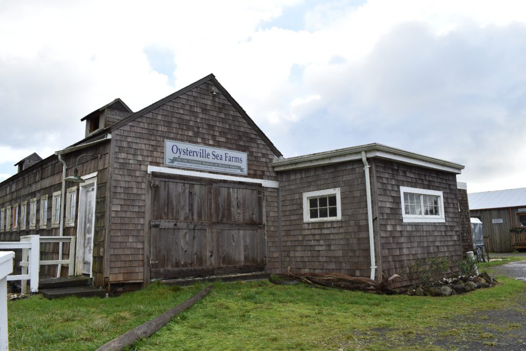 Oysterville Sea Farms by Sarah Day