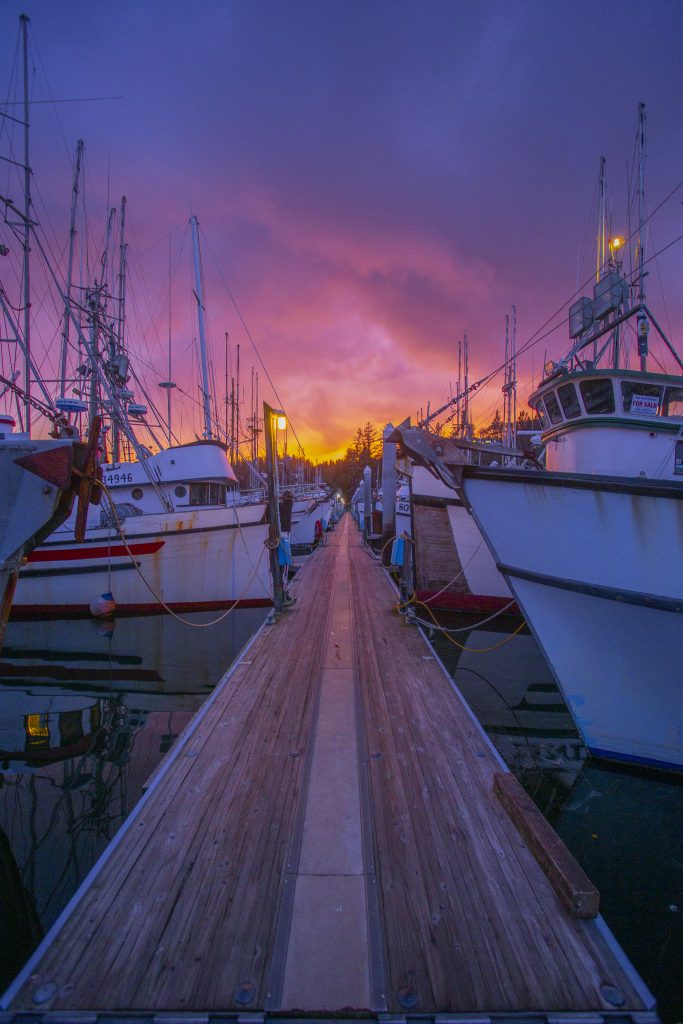 Rows of boats tethered to the boat dock at Port of Ilwaco at sunset.