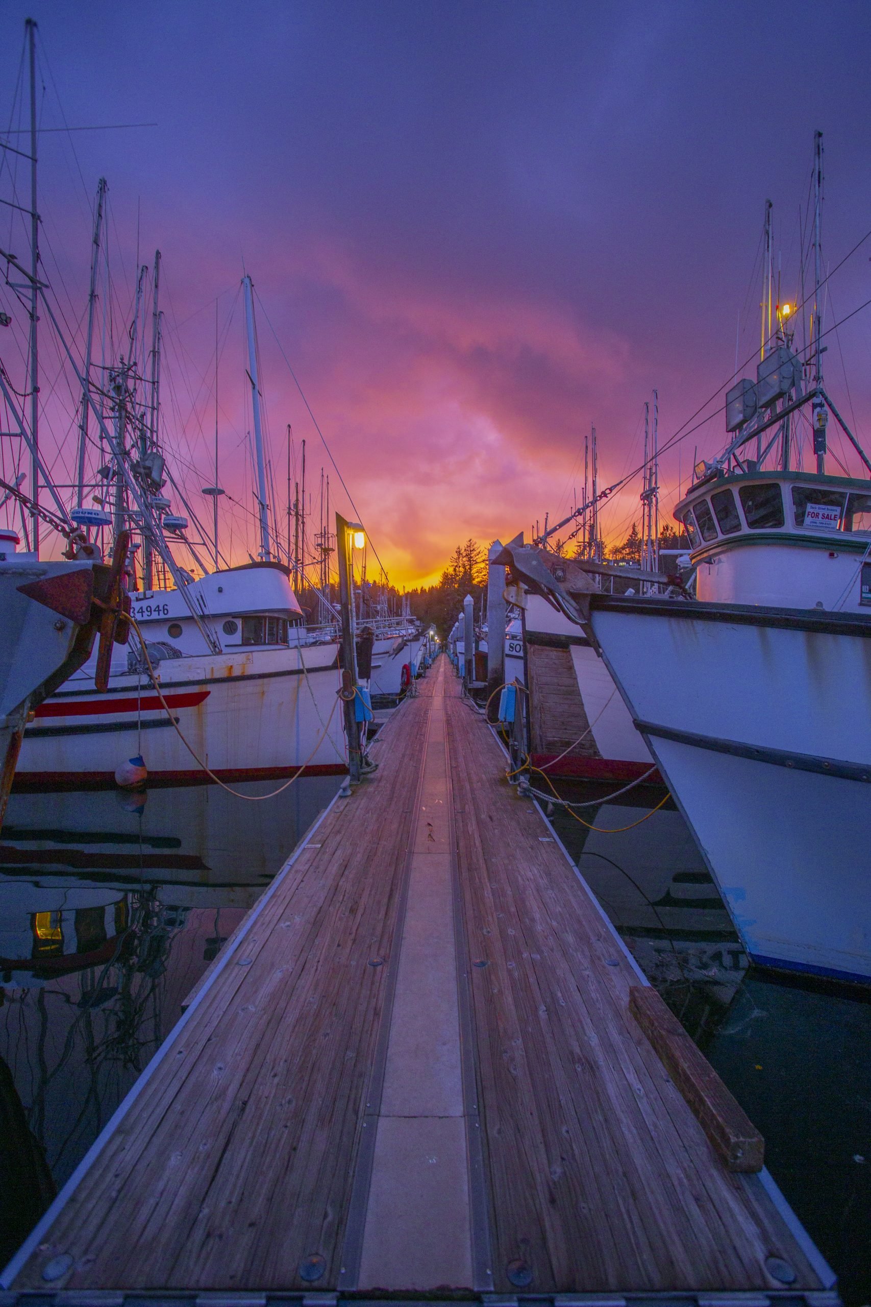 Rows of boats tethered to the boat dock at Port of Ilwaco at sunset.