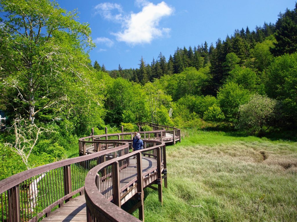 Two people walking along the Willapa Wildlife Art Walk, winding through an open field into a forest.