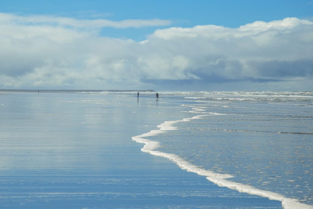 Beachcombing: 'Sea' What Has Washed Ashore!