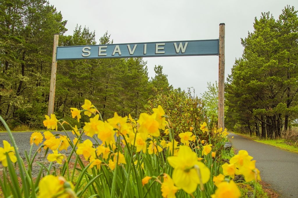 20 Things to do in Seaview