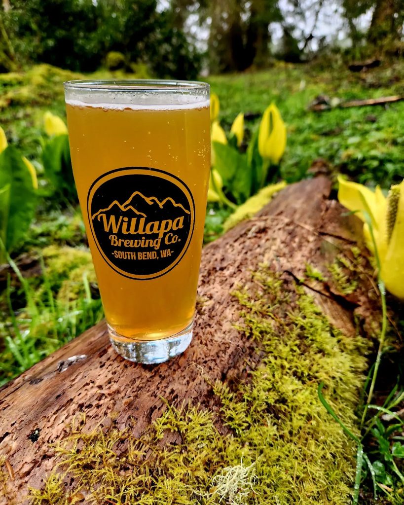 Willapa Brewing