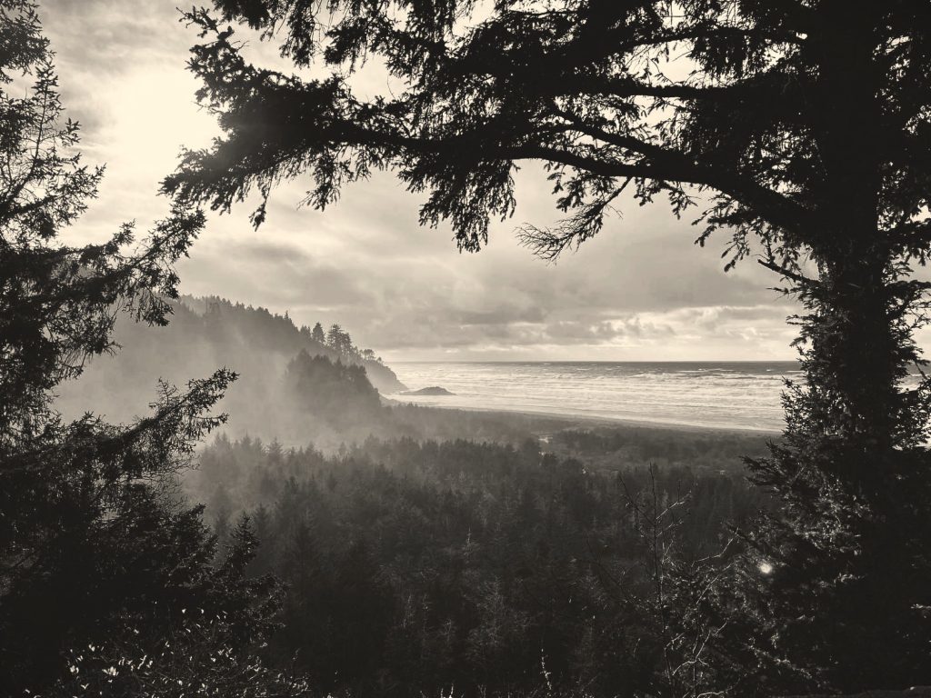 Graveyards of Pacific County Beards Hollow