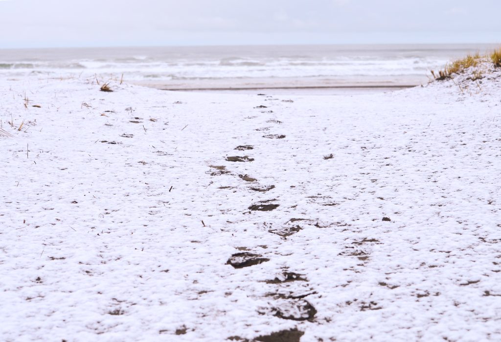 Holidays at the Beach in Pacific County - header