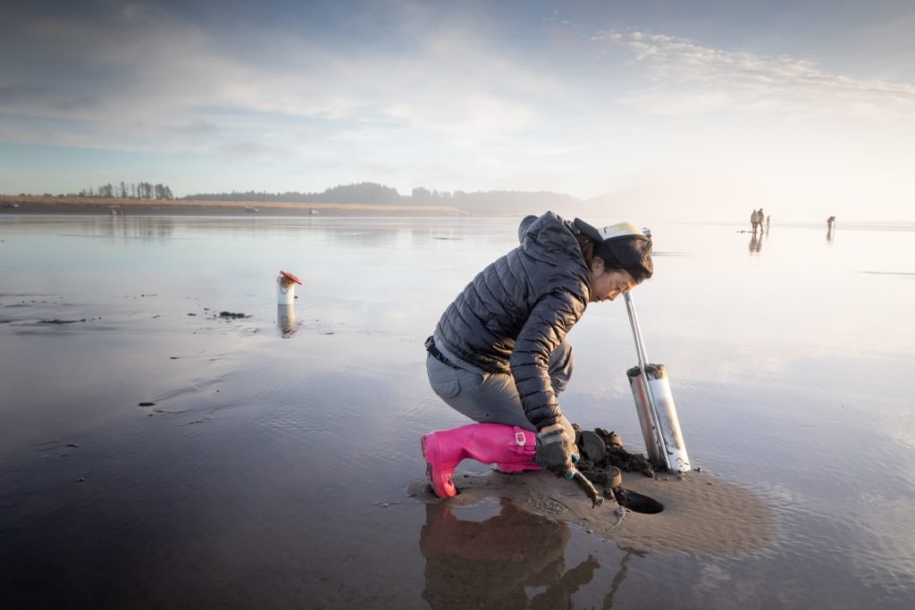 1.Razor Clam Digging - credit Luke Whittaker-Chinook Observer