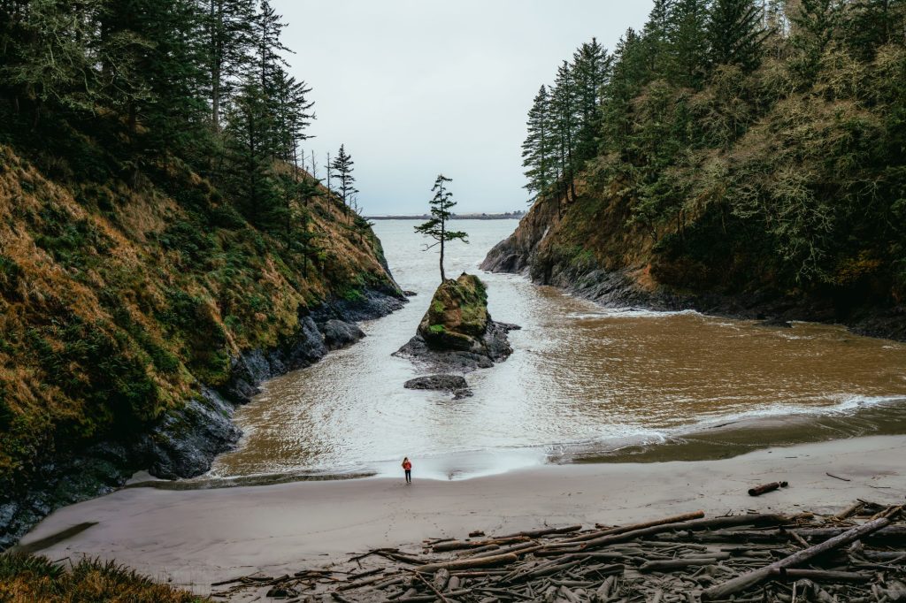 Day Trip from Astoria - Cape D- credit Max Loew