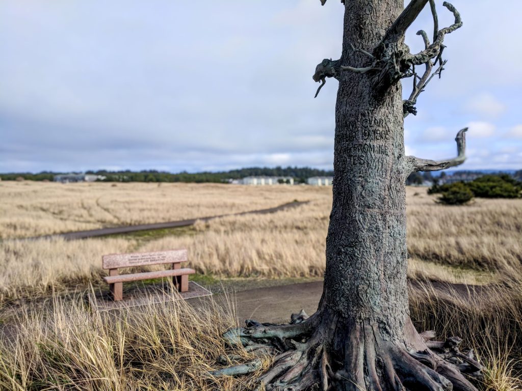 2. Art in Pacific County - Clarks Tree