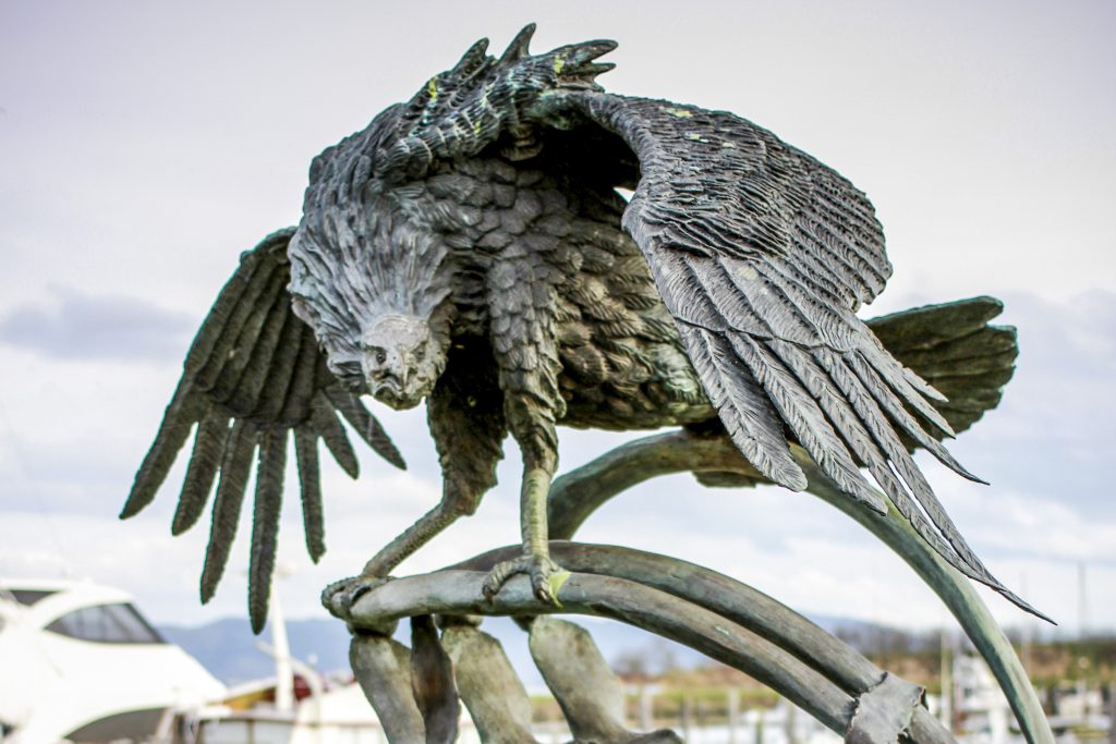 6. Art in Pacific County - Condor - credit Robyn Unruh