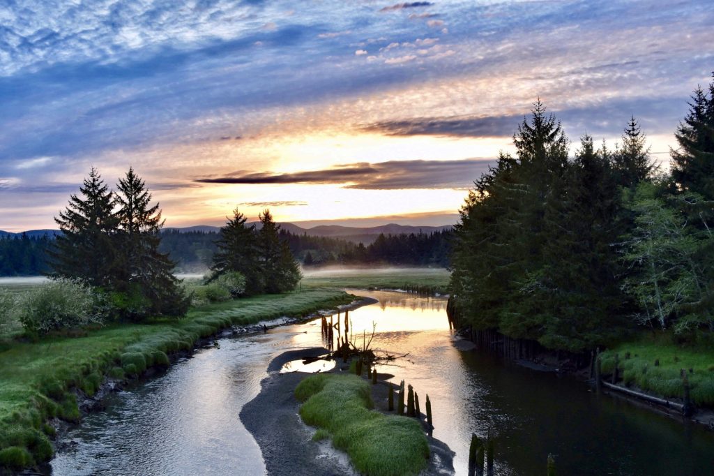 2. Road Trip Through Washington - Pearls - credit Randy Dennis