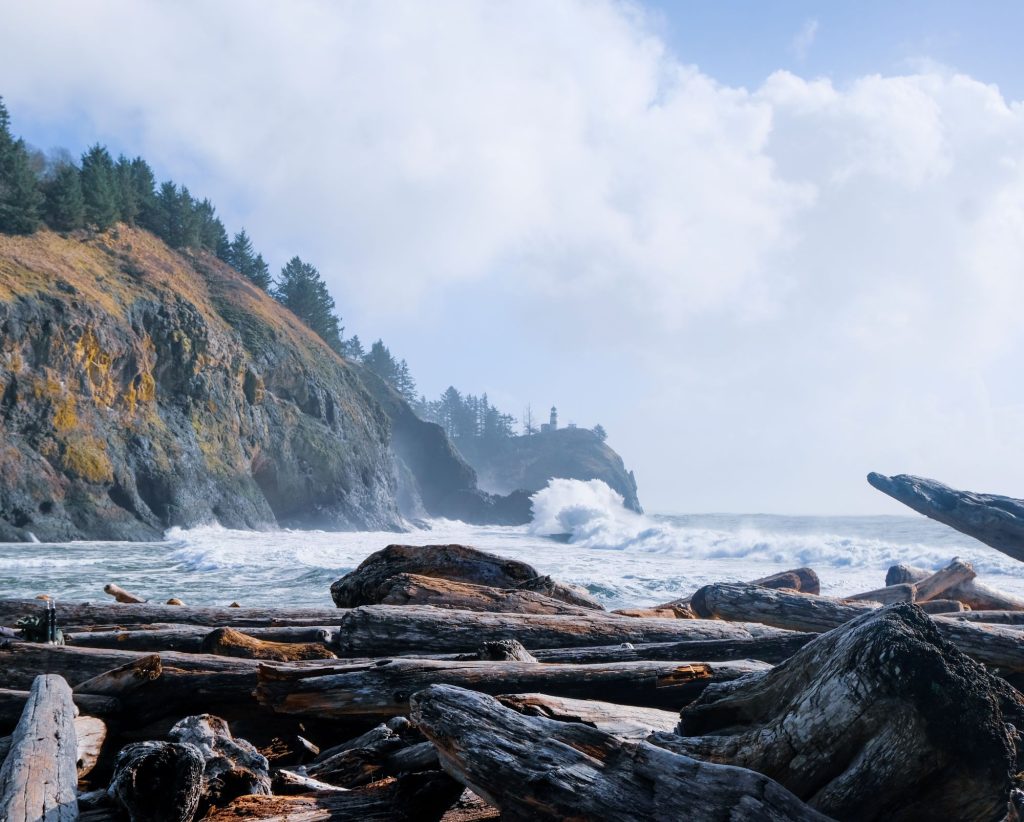 2025 Bucket List: Seas the Day on Washington’s Evergreen Coast