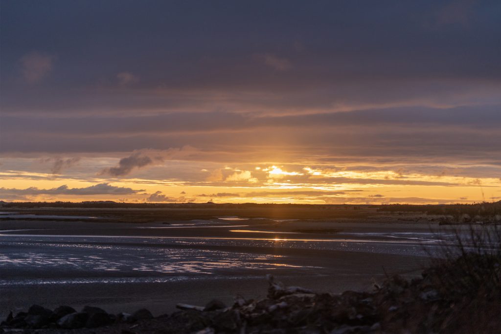 Find Yourself on Washington's Evergreen Coast