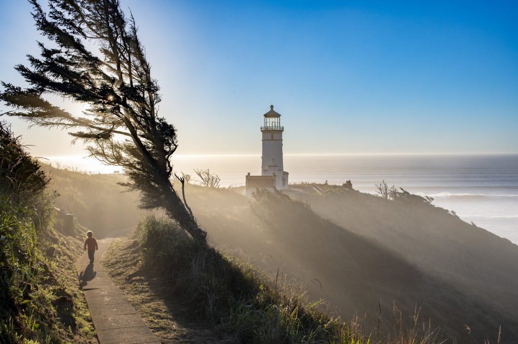 Hiking Washington’s Evergreen Coast: When Forest Meets the Sea