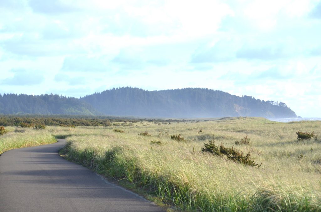 Hiking Washington’s Evergreen Coast: When Forest Meets the Sea