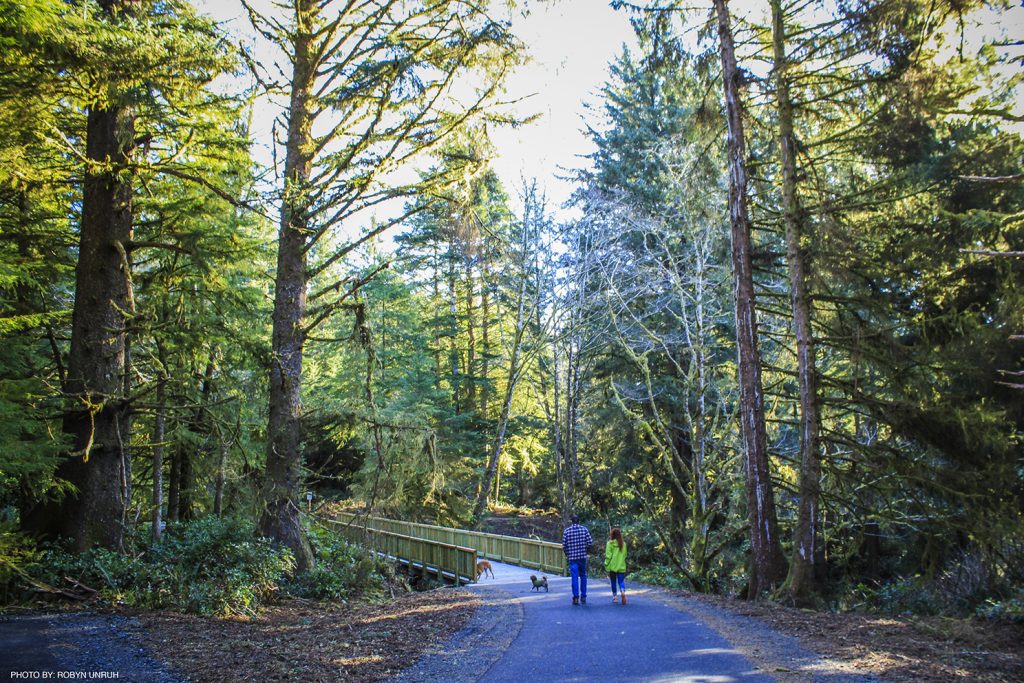 Hiking Washington’s Evergreen Coast: When Forest Meets the Sea