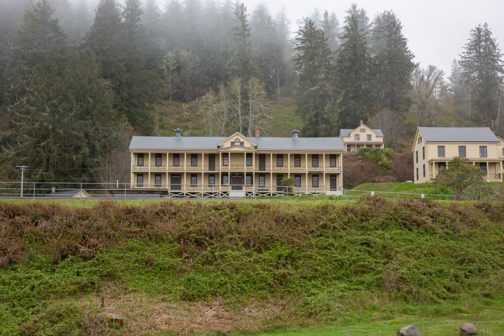 Hiking Washington’s Evergreen Coast: When Forest Meets the Sea