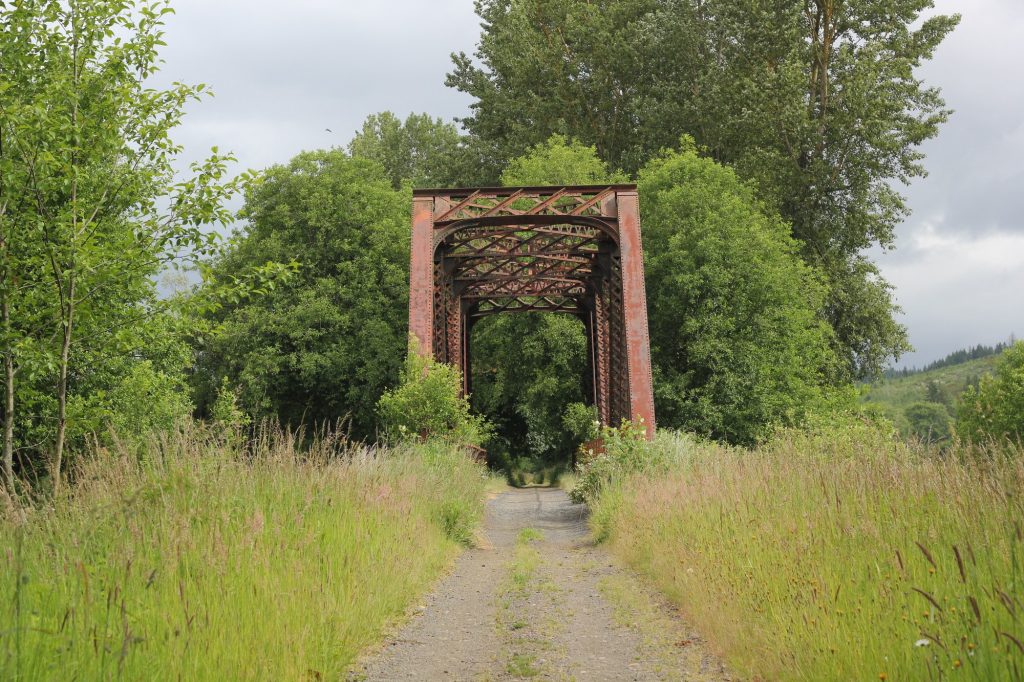 Hiking Washington’s Evergreen Coast: When Forest Meets the Sea