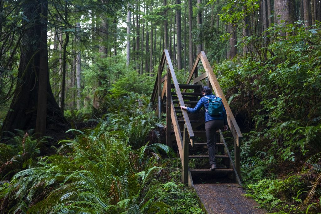 Hiking Washington’s Evergreen Coast: When Forest Meets the Sea