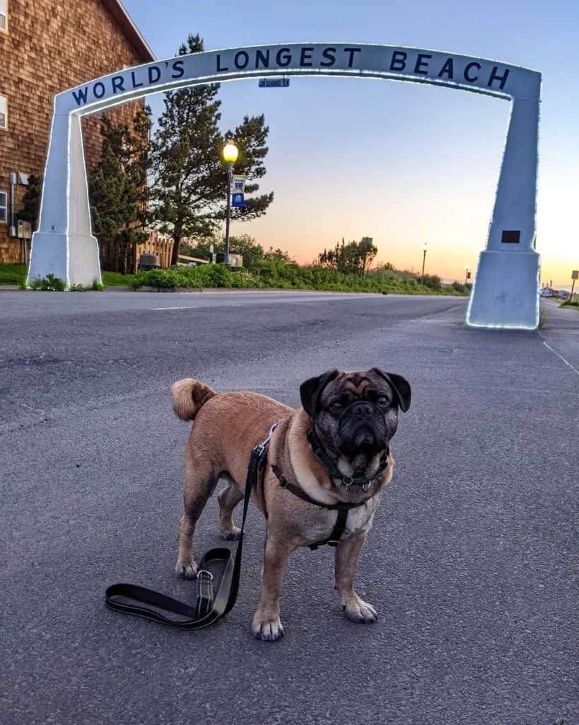 Archway roadside attraction in Pacific County, a great destination for things to do in Long Beach with kids.