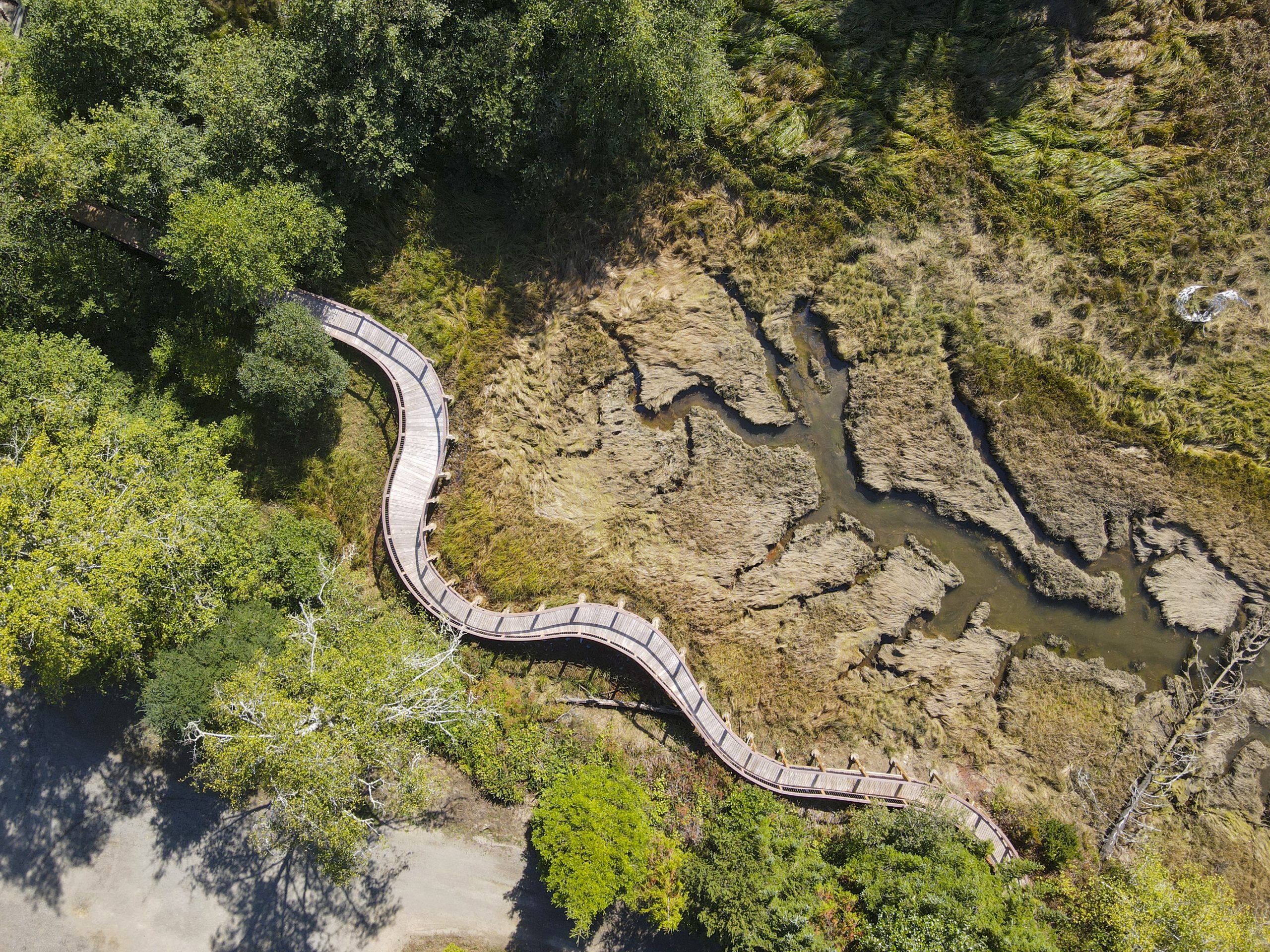 An aerial view of trees and a bridge winding through a rugged landscape in Long Beach.