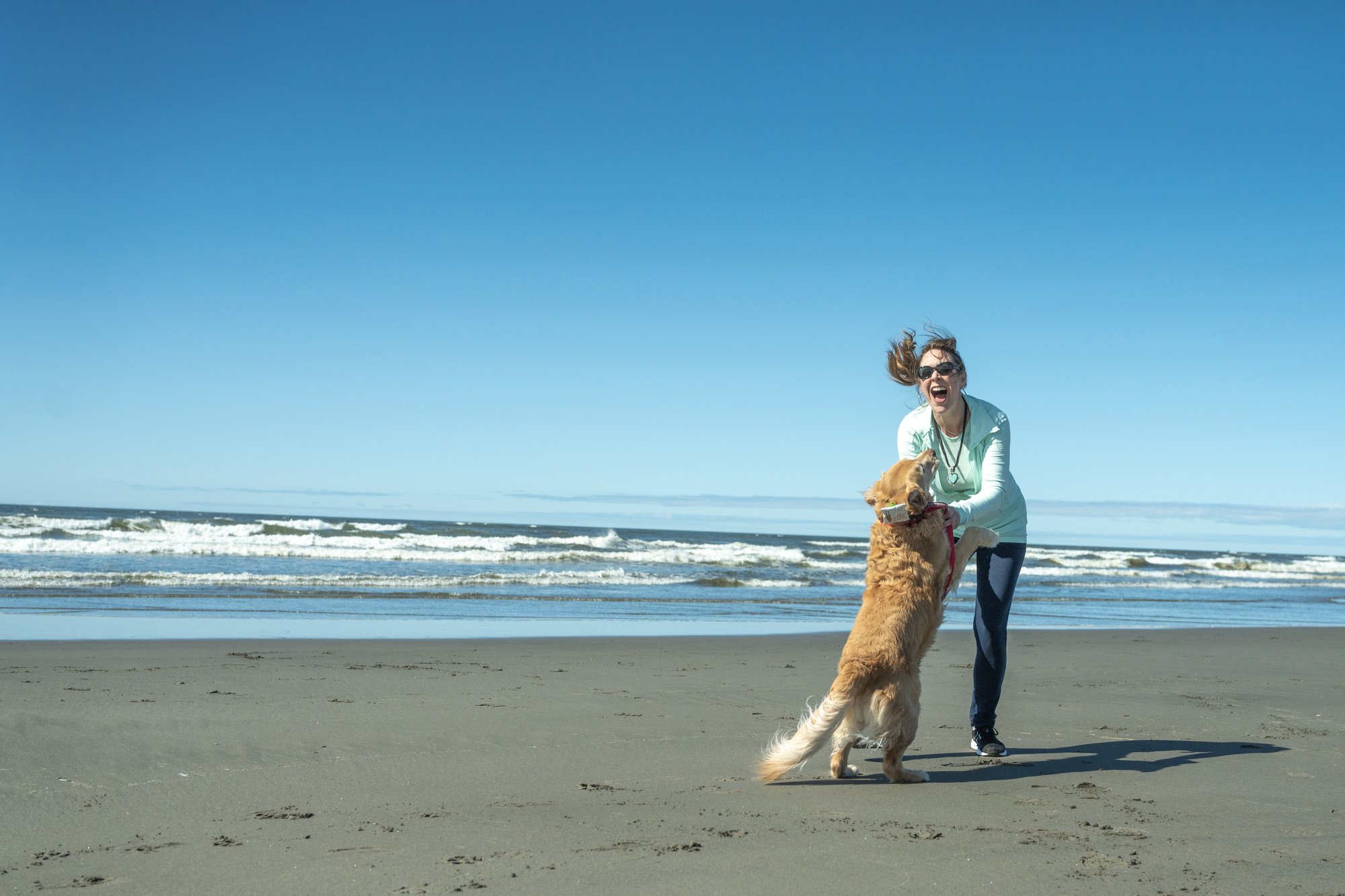 Puppy Love: Best Dog-Friendly Spots on the Evergreen Coast