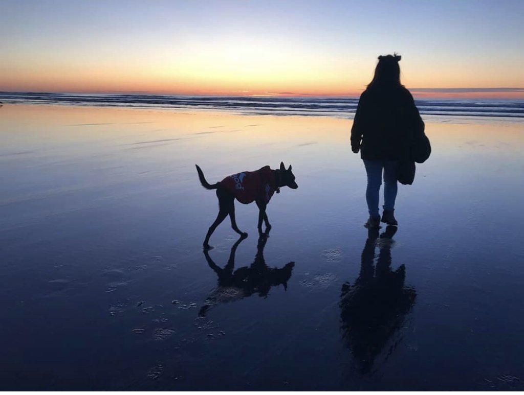 Puppy Love: Best Dog-Friendly Spots on the Evergreen Coast