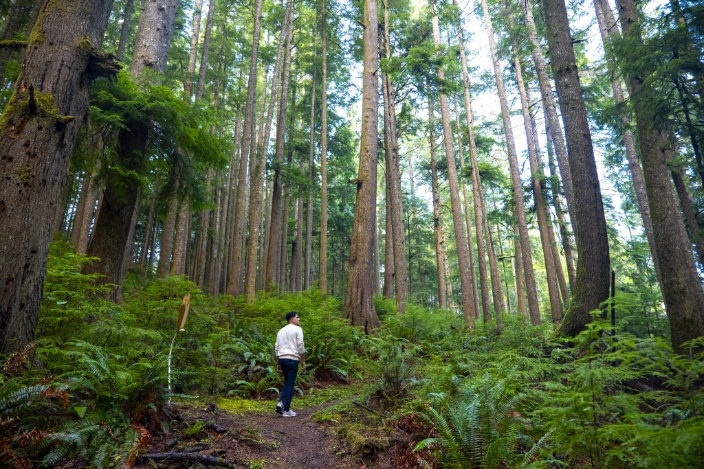 Willapa National Wildlife Refuge: A Complete Guide to Washington’s Hidden Gem