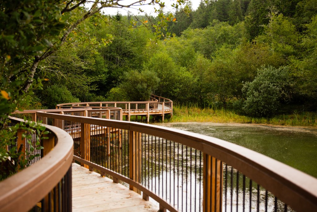 Willapa National Wildlife Refuge